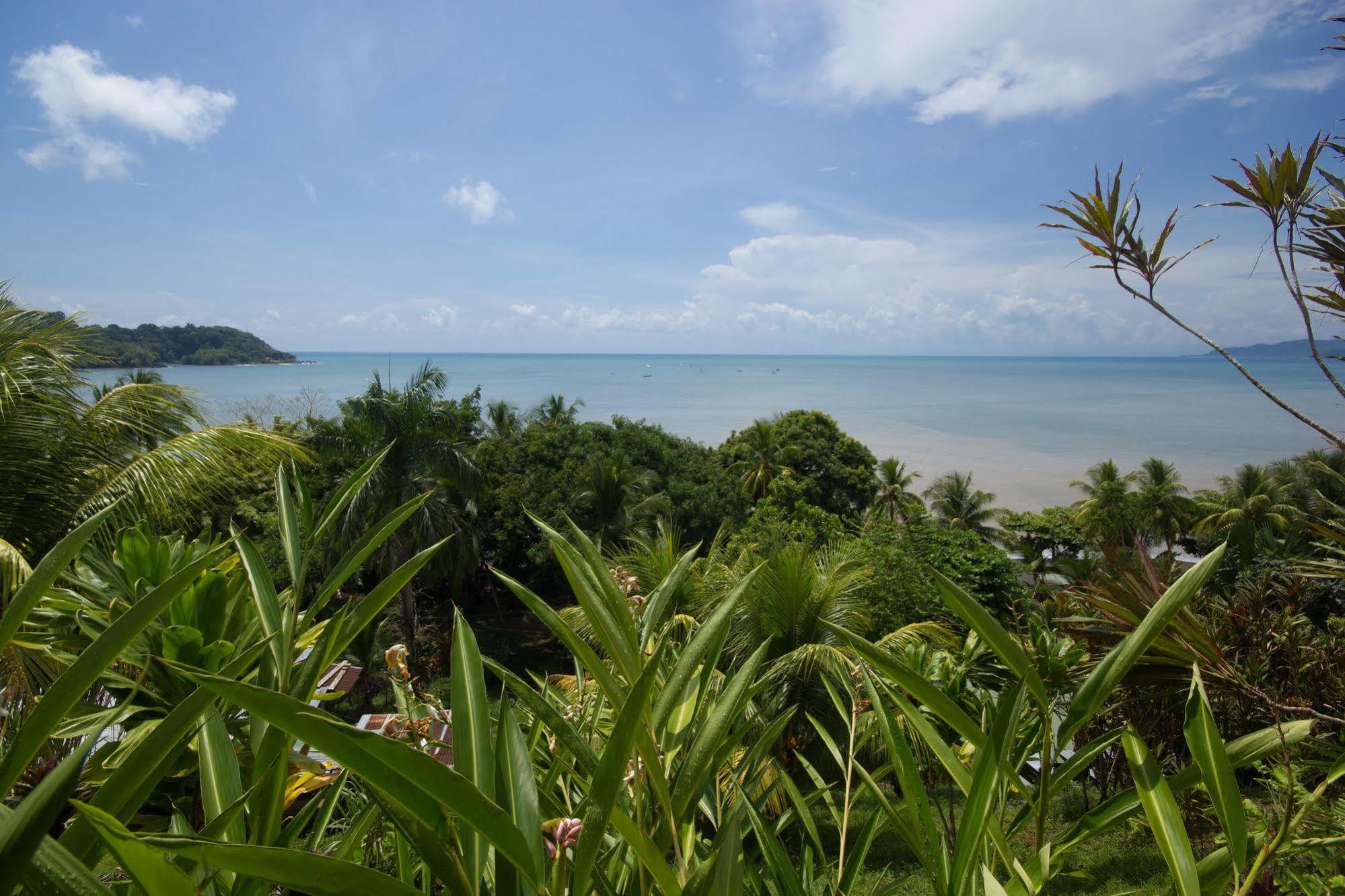 Hotel Rancho Corcovado Drake Bay Exterior photo